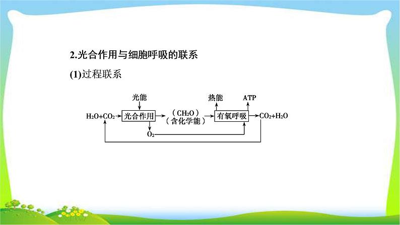 人教版高考生物总复习3.4光合作用与呼吸作用的关系及影响因素完美课件PPT第8页