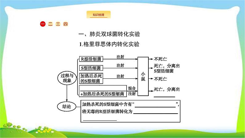 人教版高考生物总复习7.1DNA是主要的遗传物质完美课件PPT03