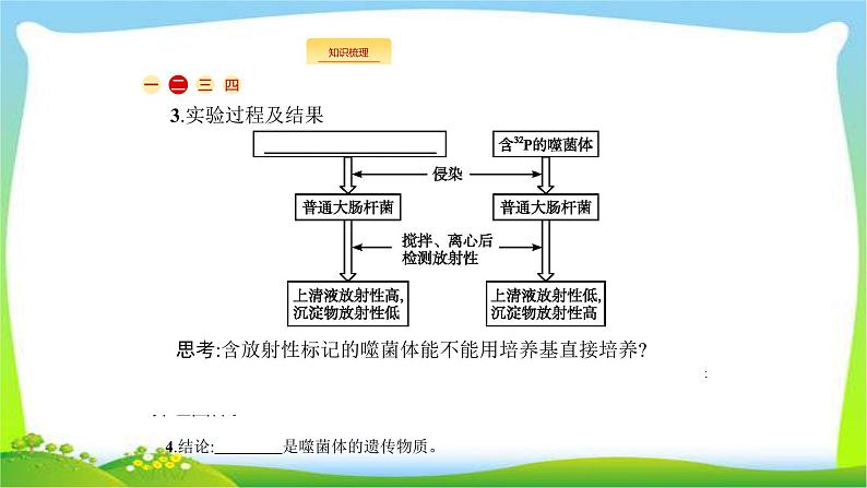 人教版高考生物总复习7.1DNA是主要的遗传物质完美课件PPT06