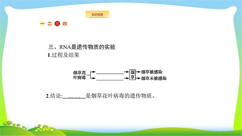 人教版高考生物总复习7.1DNA是主要的遗传物质完美课件PPT07