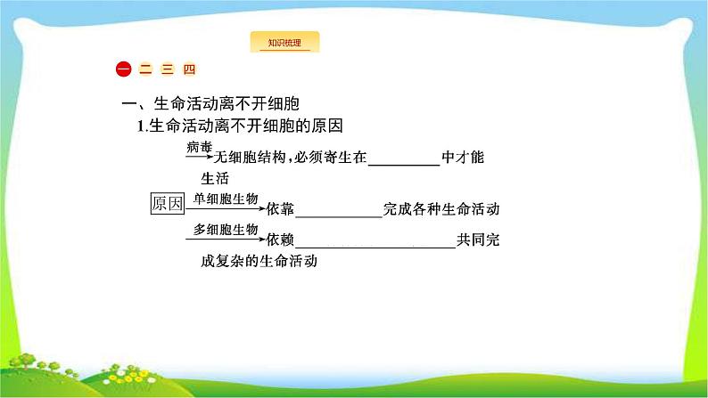 人教版高考生物总复习1.1走近细胞完美课件PPT04