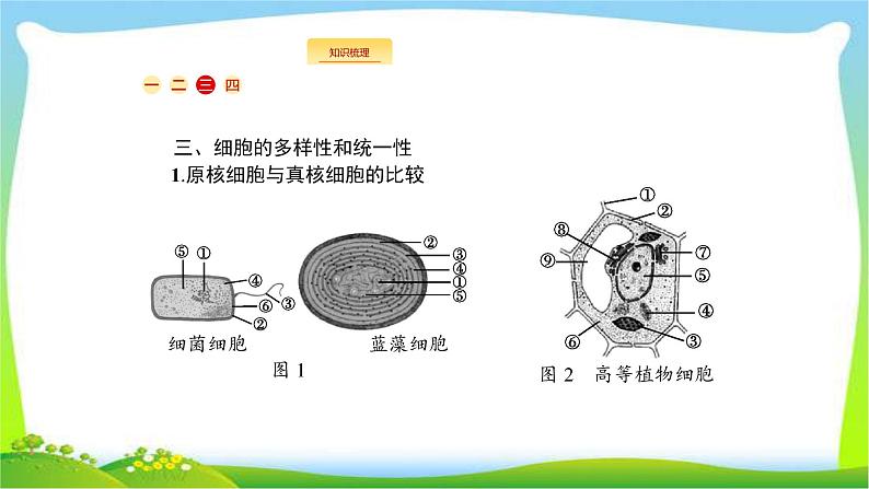 人教版高考生物总复习1.1走近细胞完美课件PPT07