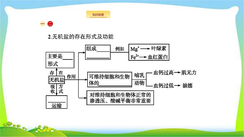 人教版高考生物总复习1.2细胞中的元素和化合物完美课件PPT第6页