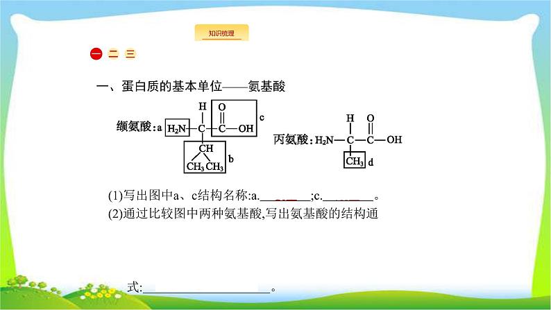 人教版高考生物总复习1.3生命活动的主要承担者—蛋白质完美课件PPT第2页