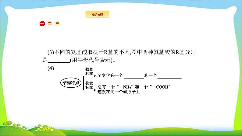 人教版高考生物总复习1.3生命活动的主要承担者—蛋白质完美课件PPT第3页