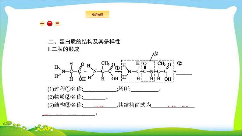 人教版高考生物总复习1.3生命活动的主要承担者—蛋白质完美课件PPT第4页