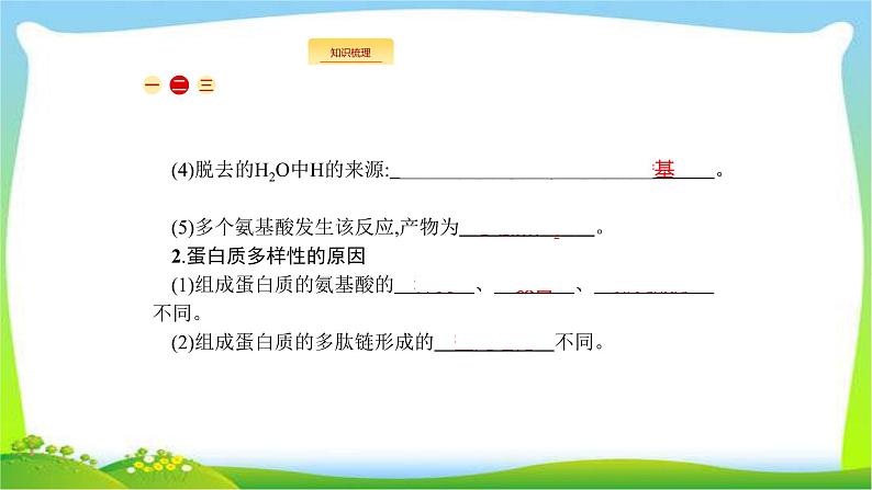 人教版高考生物总复习1.3生命活动的主要承担者—蛋白质完美课件PPT第5页