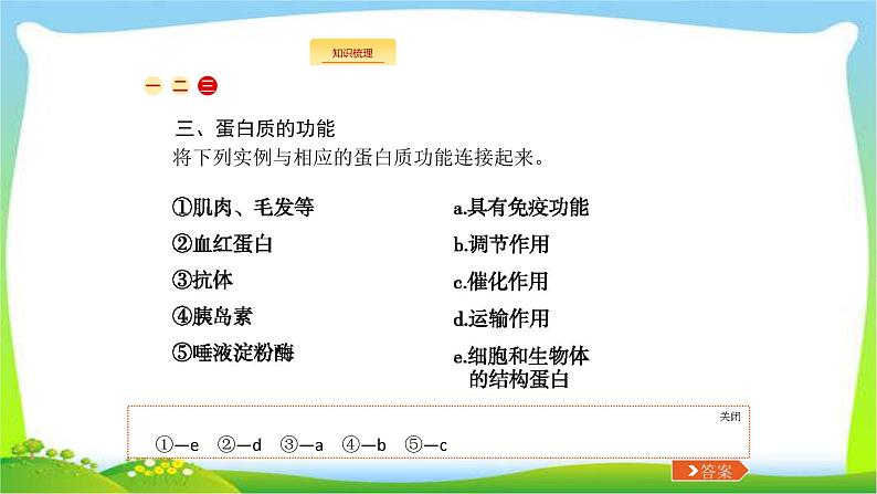 人教版高考生物总复习1.3生命活动的主要承担者—蛋白质完美课件PPT第6页