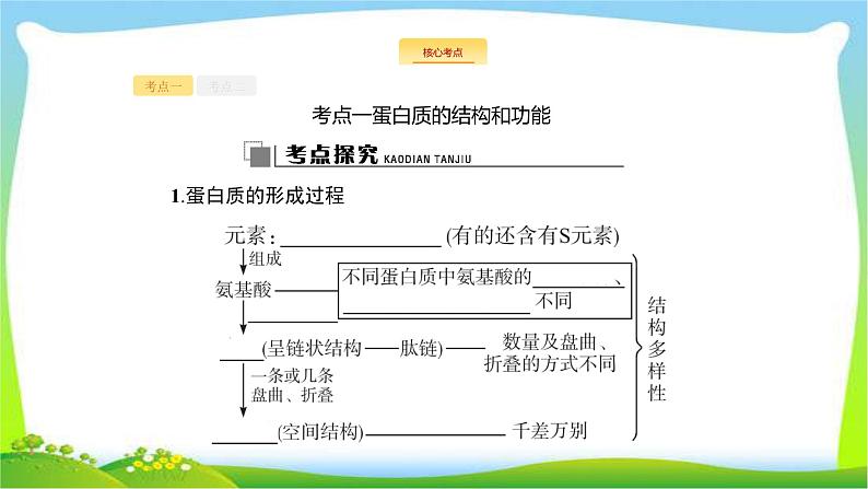 人教版高考生物总复习1.3生命活动的主要承担者—蛋白质完美课件PPT第7页