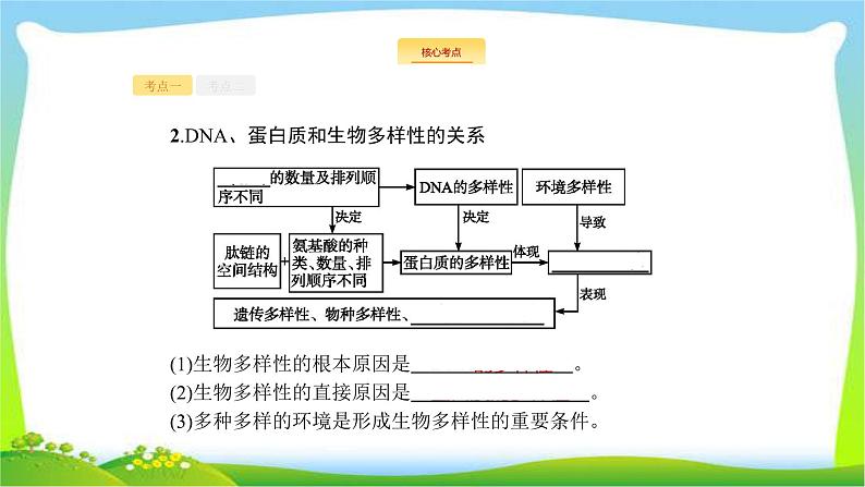 人教版高考生物总复习1.3生命活动的主要承担者—蛋白质完美课件PPT第8页