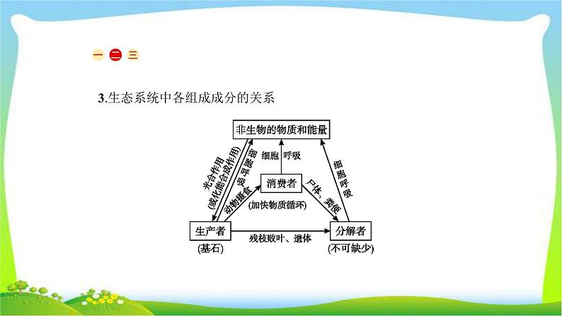 人教版高考生物总复习12.1生态系统的结构完美课件PPT05