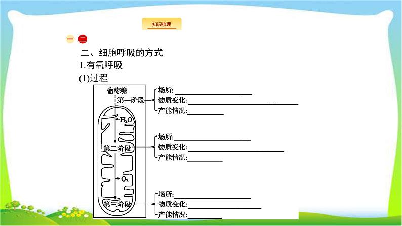 人教版高考生物总复习3.2ATP与细胞呼吸完美课件PPT第4页