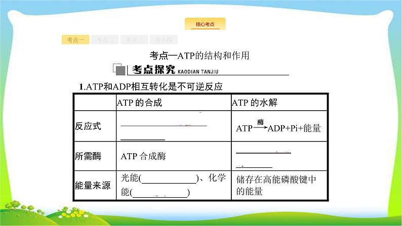 人教版高考生物总复习3.2ATP与细胞呼吸完美课件PPT第7页