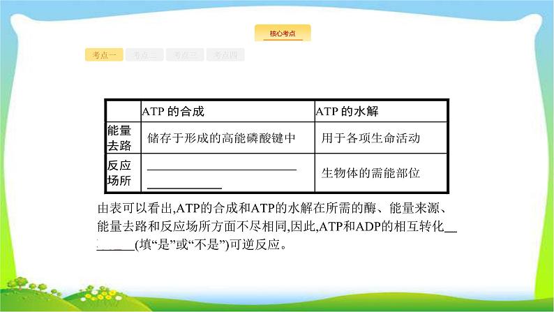 人教版高考生物总复习3.2ATP与细胞呼吸完美课件PPT第8页