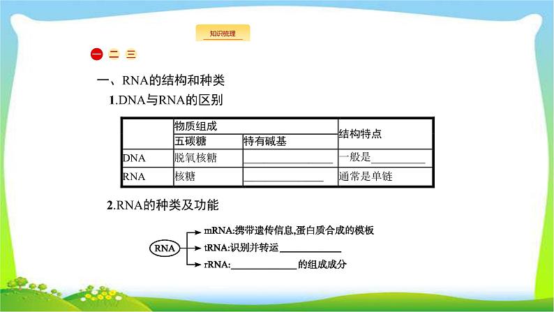 人教版高考生物总复习7.3基因的表达完美课件PPT02