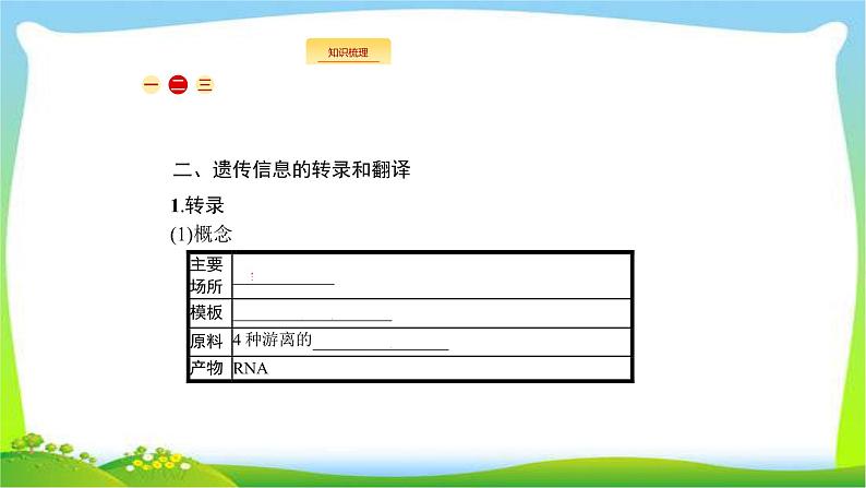 人教版高考生物总复习7.3基因的表达完美课件PPT03