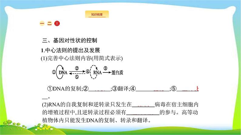 人教版高考生物总复习7.3基因的表达完美课件PPT06