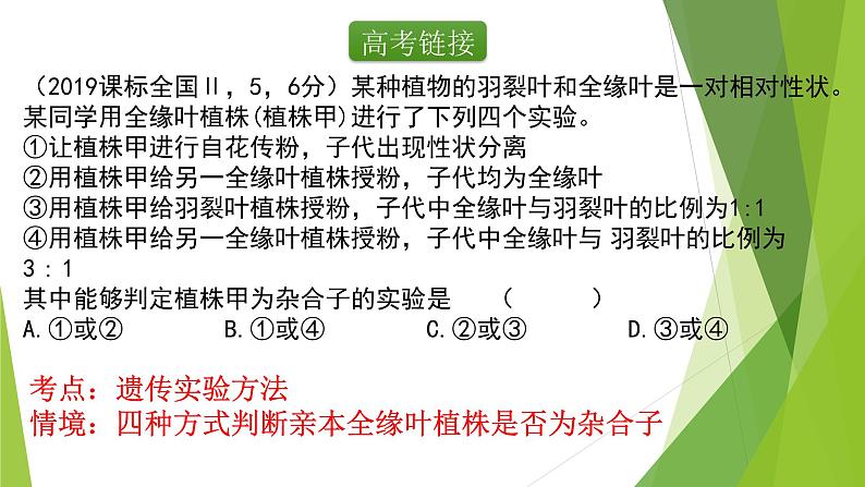 专题1 基因的分离定律-备战2022年高考生物复习专题精品课件03