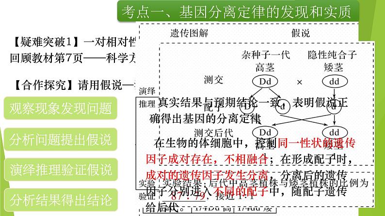 专题1 基因的分离定律-备战2022年高考生物复习专题精品课件06