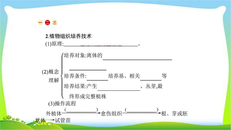 人教版高考生物总复习13.2细胞工程完美课件PPT第4页