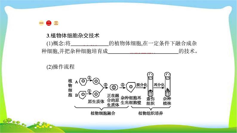 人教版高考生物总复习13.2细胞工程完美课件PPT第5页