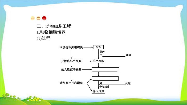 人教版高考生物总复习13.2细胞工程完美课件PPT第8页