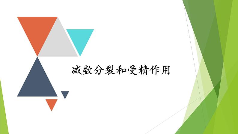 专题3 减数分裂和受精作用-备战2022年高考生物复习专题精品课件第1页