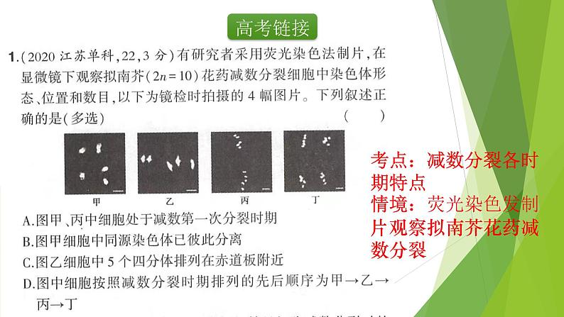 专题3 减数分裂和受精作用-备战2022年高考生物复习专题精品课件第3页