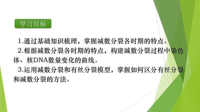 专题3 减数分裂和受精作用-备战2022年高考生物复习专题精品课件第4页