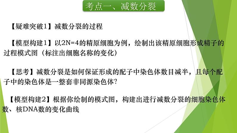 专题3 减数分裂和受精作用-备战2022年高考生物复习专题精品课件第6页