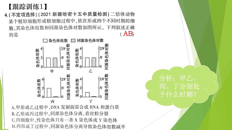 专题3 减数分裂和受精作用-备战2022年高考生物复习专题精品课件第7页