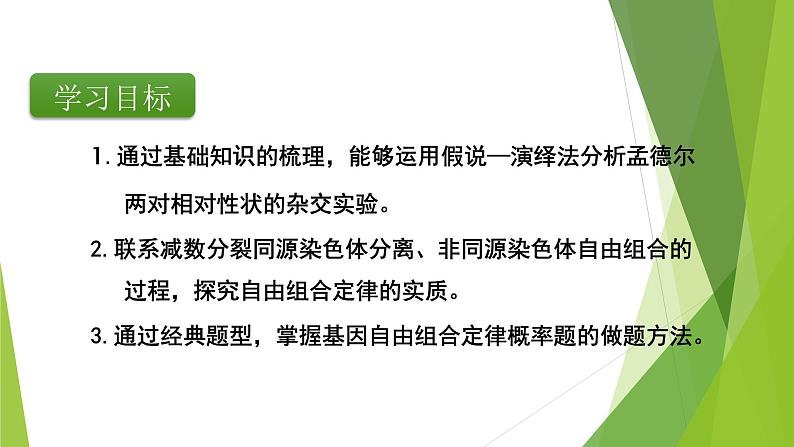 专题2 基因的自由组合定律-备战2022年高考生物复习专题精品课件第4页