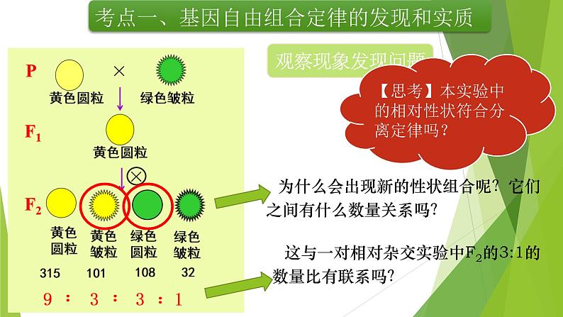 专题2 基因的自由组合定律-备战2022年高考生物复习专题精品课件第6页