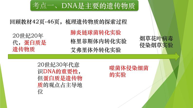 专题6 DNA是主要的遗传物质及其结构与复制-备战2022年高考生物复习专题精品课件第5页