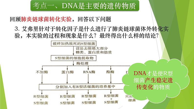 专题6 DNA是主要的遗传物质及其结构与复制-备战2022年高考生物复习专题精品课件第7页