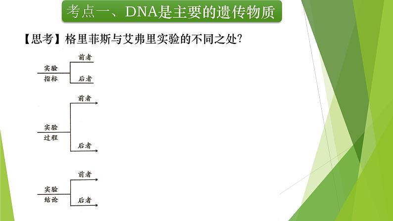 专题6 DNA是主要的遗传物质及其结构与复制-备战2022年高考生物复习专题精品课件第8页