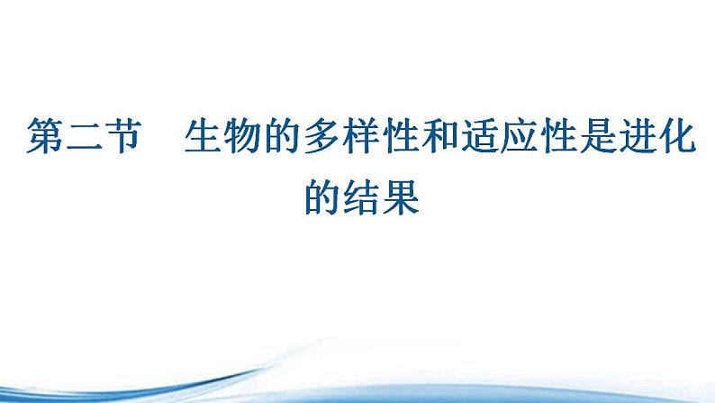 生物进化导致生物的多样性和适应性PPT课件免费下载01