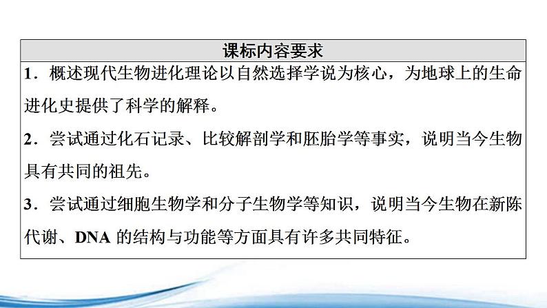 生物进化导致生物的多样性和适应性PPT课件免费下载02