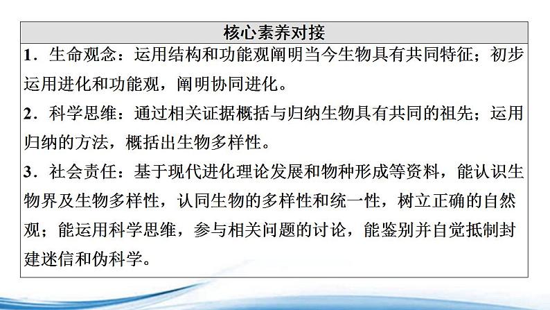 生物进化导致生物的多样性和适应性PPT课件免费下载03