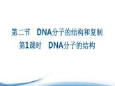 DNA分子的双螺旋结构模型PPT课件免费下载