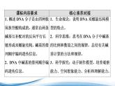 DNA分子的双螺旋结构模型PPT课件免费下载