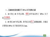 DNA分子的双螺旋结构模型PPT课件免费下载