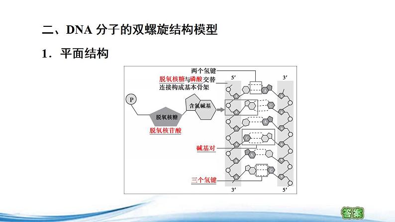 必修2生物新教材苏教版22第1课时DNA分子的结构pptx_9第6页