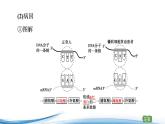 必修2生物新教材苏教版32基因突变和基因重组pptx_16