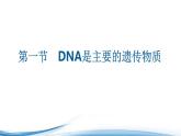 必修2生物新教材苏教版21DNA是主要的遗传物质pptx_12