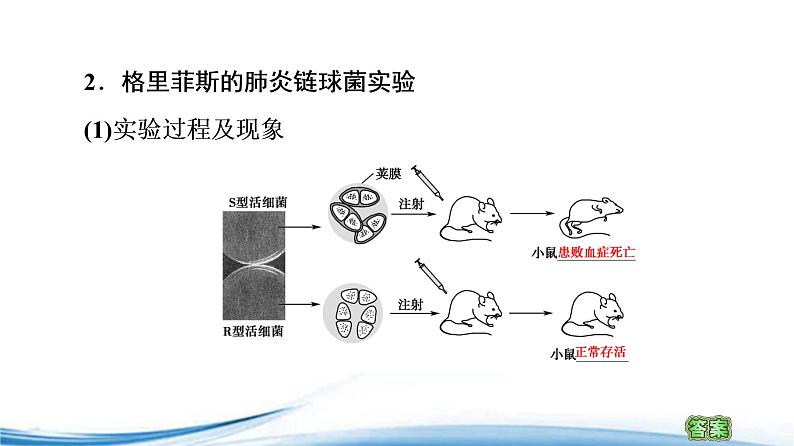 必修2生物新教材苏教版21DNA是主要的遗传物质pptx_1205