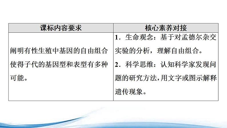 必修2生物新教材苏教版13第1课时两对相对性状的杂交实验与自由组合现象的解释pp_2课件PPT第2页