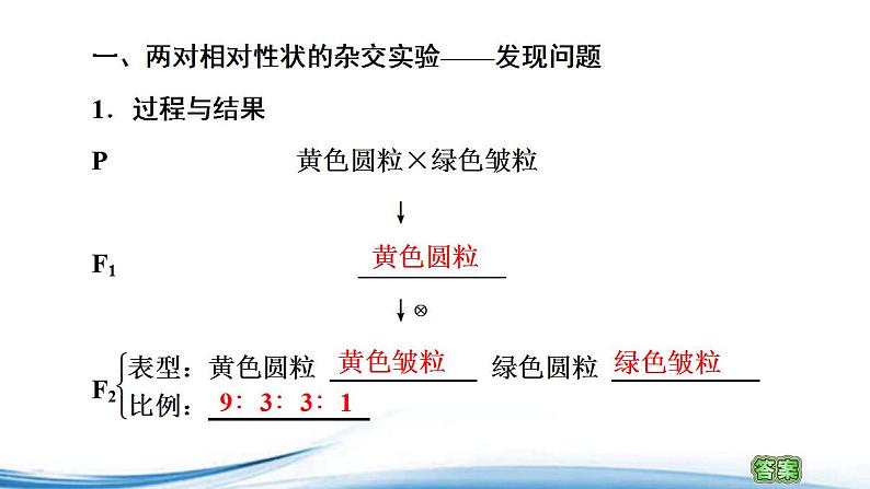 必修2生物新教材苏教版13第1课时两对相对性状的杂交实验与自由组合现象的解释pp_2课件PPT第3页
