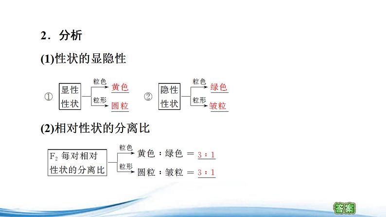 必修2生物新教材苏教版13第1课时两对相对性状的杂交实验与自由组合现象的解释pp_2课件PPT第4页