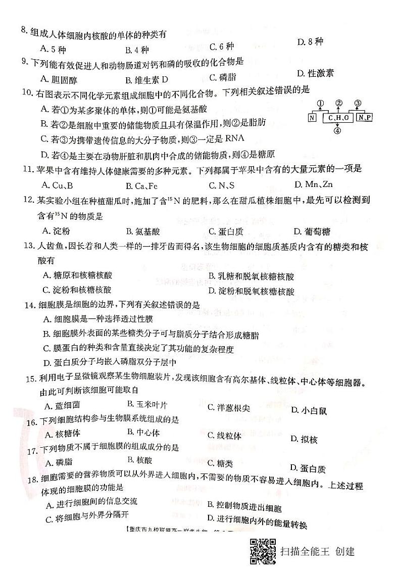 2020-2021学年重庆市九校联盟高一上学期12月联考生物试题 PDF版02